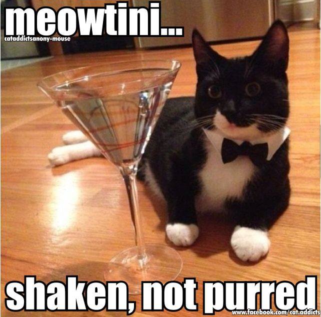 Meowtini Shaken not Purred