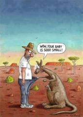 kangaroobaby