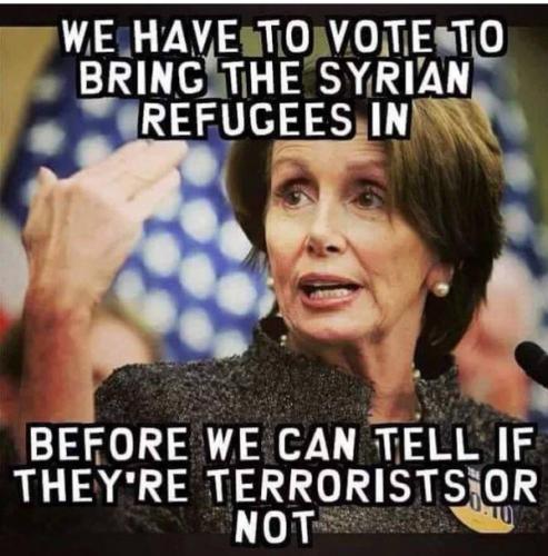 Pelosi We have to bring the refugees in before we find out if they are terrorists