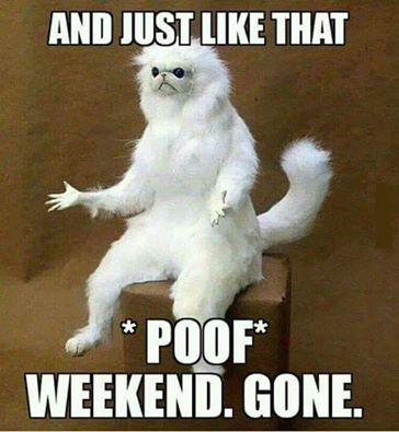 poof - weekend gone