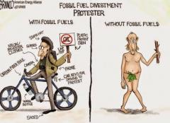 Fossil fuel divestment protester