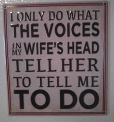 the voices in my wifes head