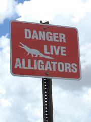 Danger live alligators sign