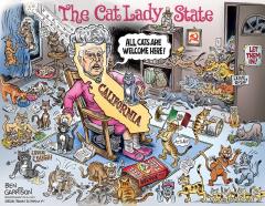 California  is The Cat Lady State Ben Garrison grrrgraphics