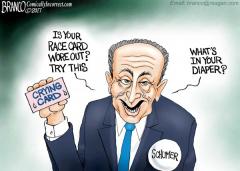 Chuck Schumer wore out his racist card so now he uses his crying card