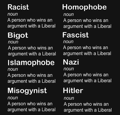 Liberal Dictionary For Name Calling