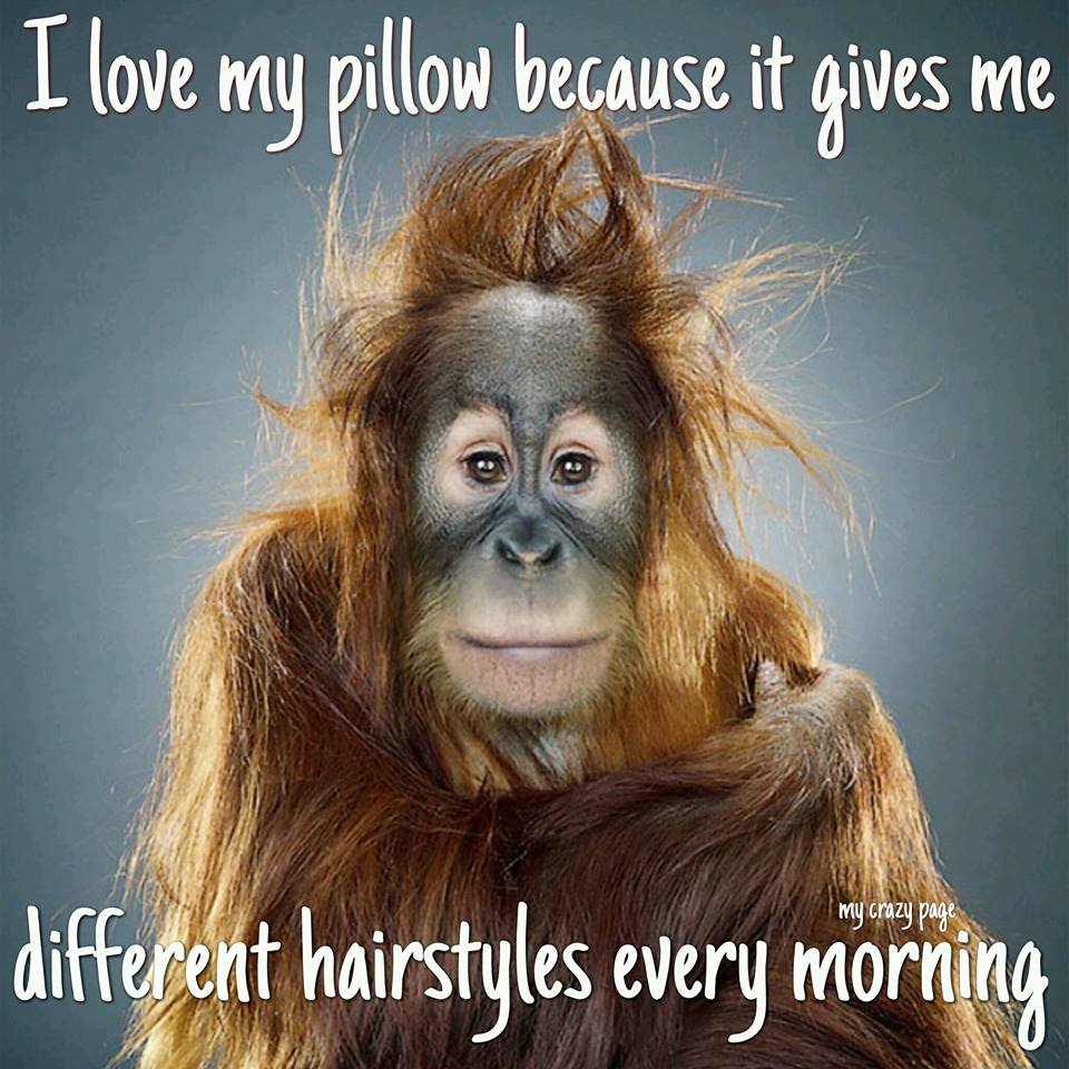 I love my pillow because it gives me different hairstyles every mornng
