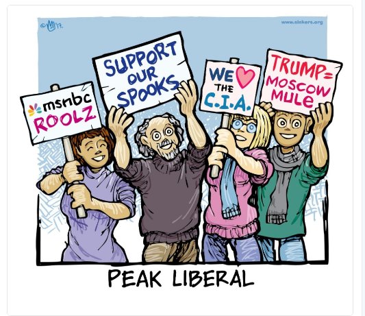 Peak Liberals Taken Over By the Deep State