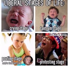 Liberal stages of life Crying Tantrum Pouting Protesting