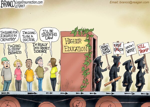 The perils of higher education Branco cartoon