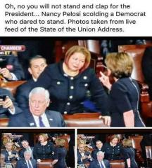 Nasty Pelosi scolds Democrat for standing and applauding at SOTU 2018