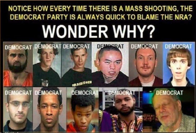 why do democrats always blame the nra for mass shootings