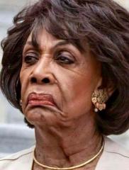 Maxine Waters is down right fugly