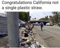 Congratulations California Democrats - Not a single plastic straw in the homeless street camp disaster areas