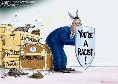Democrats hide behind racist card BRANCO legalinsurrection cartoon