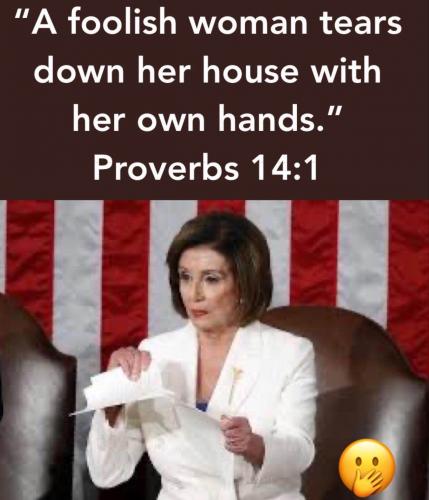 A foolish woman tears down her house with her own hands Nancy Pelosi the shredder
