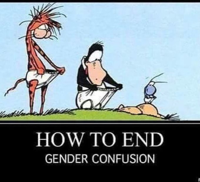 How to end gender confusion