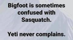 Bigfoot is sometimes confused for sasquatch yeti never complains