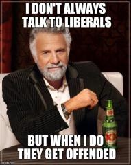 I DO NOT ALWAYS TALK TO LIBERALS - BUT WHEN I DO - THEY GET OFFENDED especially trolls