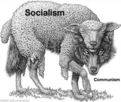 Socialism is Communism in Sheeps Clothing