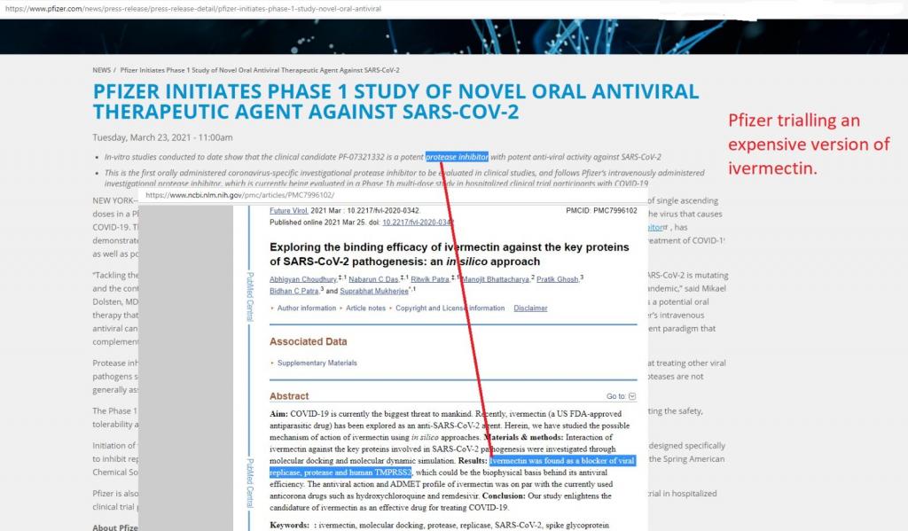 Pfizer study of ivermectin