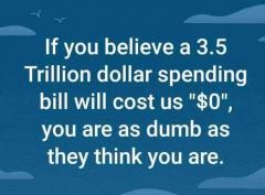 if you believe a 3+ trillion dollar bill will cost us 0 You are as dumb as they think you are