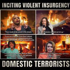 Democrats are the ones who support and incite domestic violent insurgency - riots - looting - complete destruction