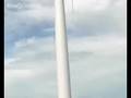 Wind turbines make bat lungs explode