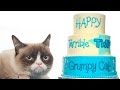 Happy 2nd Birthday Grumpy Cat! - Friskies® Party Mix Cat Treats