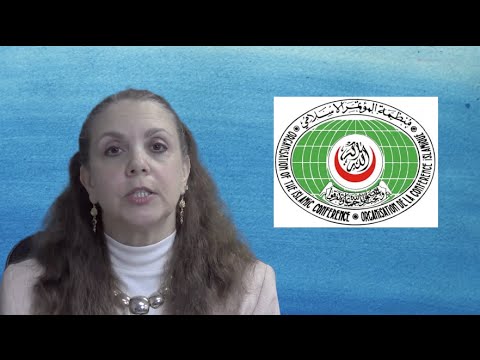 Deborah Weiss on Free Speech and the Organization of Islamic Cooperation