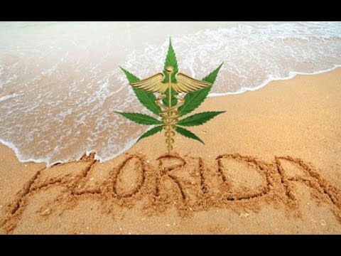Beaking News: Marijuana Washing Up On Florida Beaches