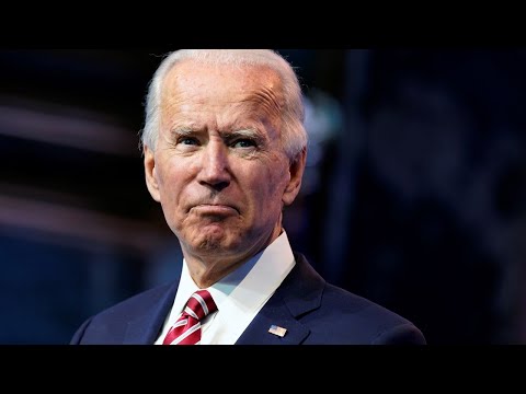Joe Biden has &#039;no active role in running the US government&#039;