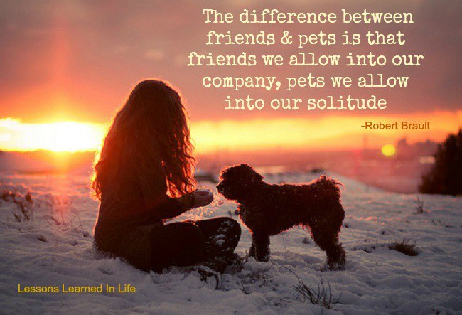 The Difference Between Friends &amp; Pets