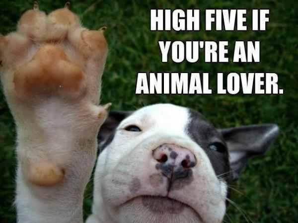 HIGH FIVE!!!!!