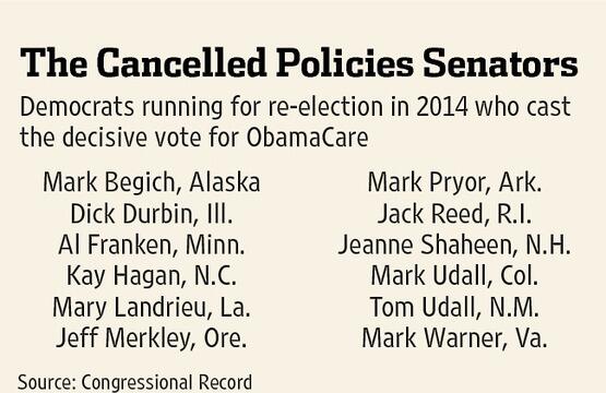 Democrats running for re-election in 2014 who cast the decisive vote for Obamacare