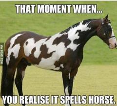 That moment when you realise it spells horse