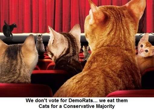 conservative cats eat demorats