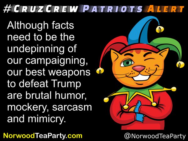 CruzCrew Norwood TEA Party strategy huh