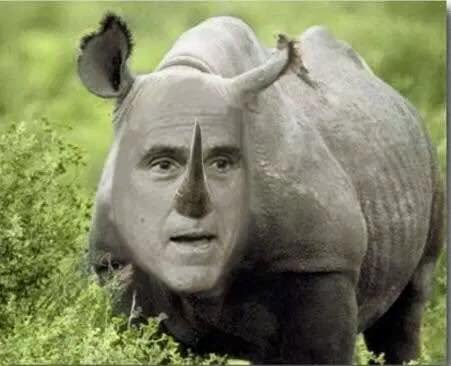 Romney the RINO