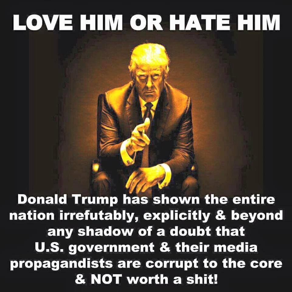 Donald Trump Love him or hate him