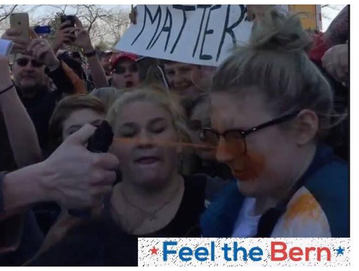 This protestor really felt the Bern