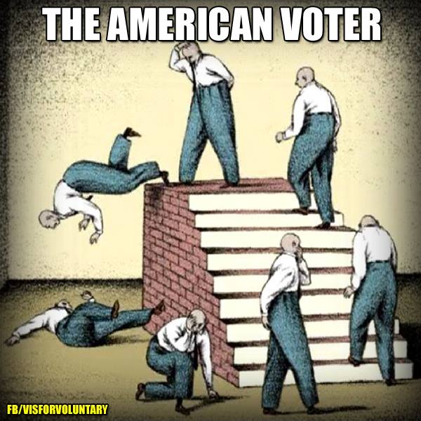 The American Voter