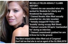 Michelle Fields Assault Claims History