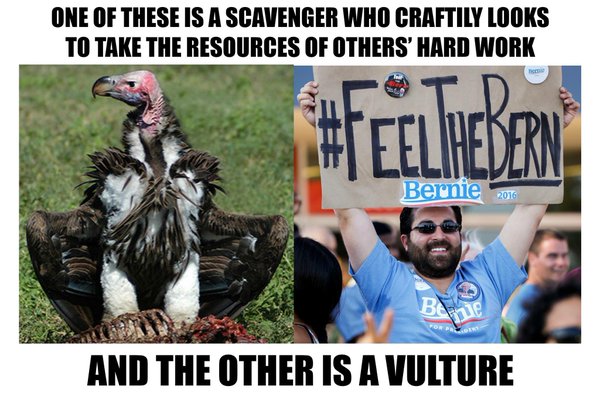 Vulture VS Bernie Sanders Fan