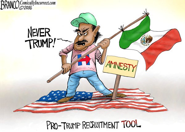 Angry Illegal Trump Protester = Pro Trump Recruitment Tool