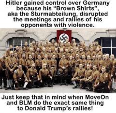 Hitler Gained Control over Germany With the Help of the Brown Shirts