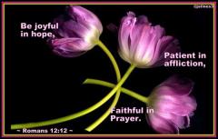 Be joyful in hope Patient in affliction Faithful in prayer