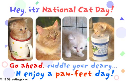 Hey-Its-National-Cat-Day-Go-Ahead-Cuddle-Your-Deary-N-Enjoy-A-Paw-Feet-Day