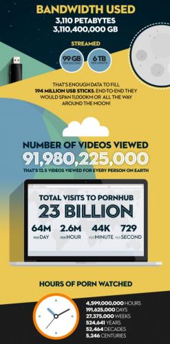 pornhub-insights-2016-year-in-review-infographic-moon-506x1024