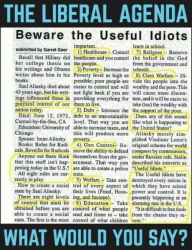 Beware the Useful Idiots working to Create a Social State- Rules by Saul Alinsky
